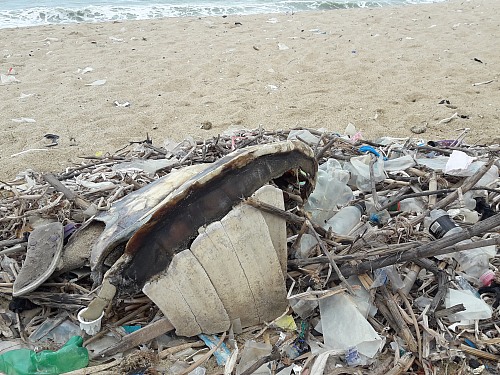 

Meer/Ozean, Verschmutzung/Müll/Altlasten
Nardine Stybel, EUCC-D